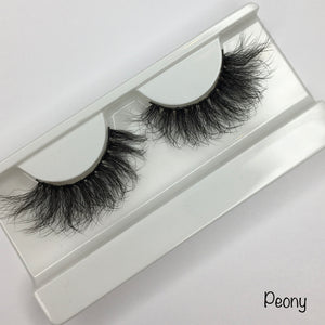 Lashes ( Light Dramatic)