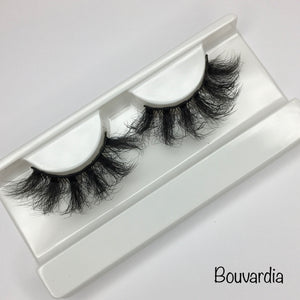 Lashes ( Light Dramatic)